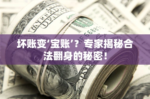 北京坏账变‘宝账’？专家揭秘合法翻身的秘密！