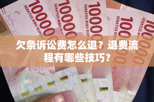 北京欠条诉讼费怎么退？退费流程有哪些技巧？