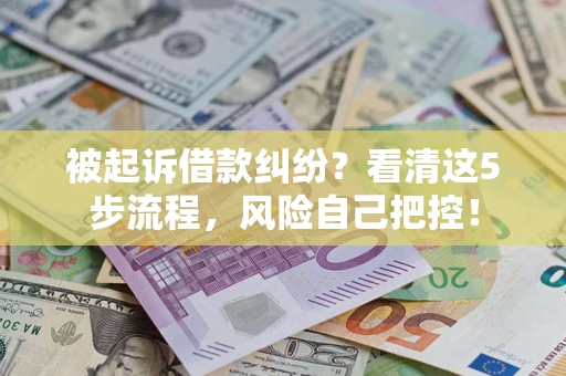 北京被起诉借款纠纷？看清这5步流程，风险自己把控！